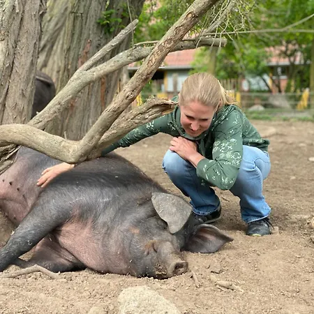 Pferdehof Ruhnau Apartment Pinnow (Ludwigslust-Parchim)
