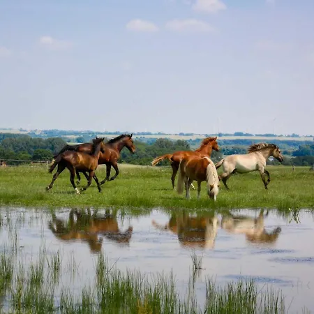 Apartment Pferdehof Ruhnau *
