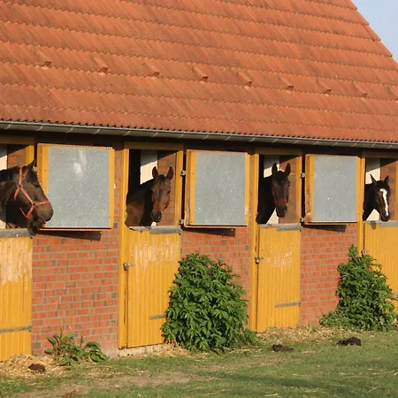 Pferdehof Ruhnau Appartamento