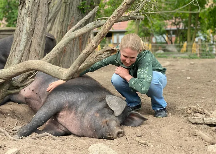 Pferdehof Ruhnau Appartamento Potzlow