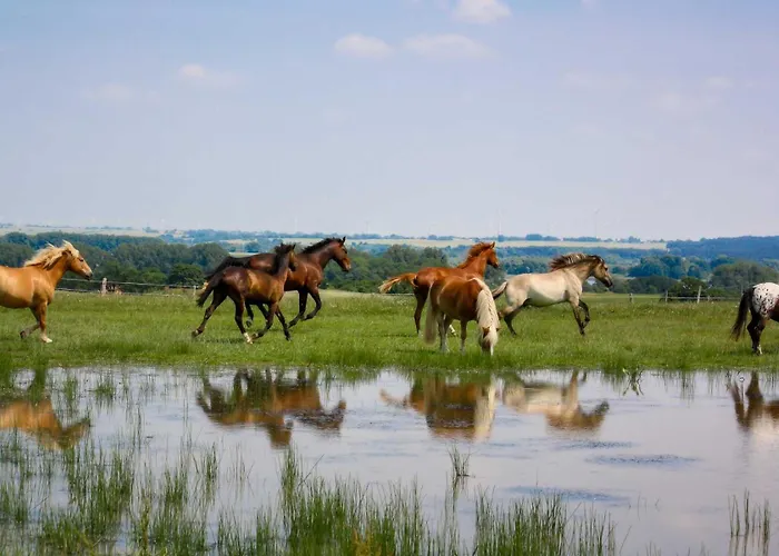 Appartamento Pferdehof Ruhnau *