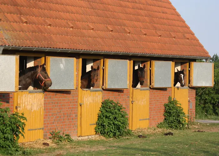 Pferdehof Ruhnau Apartman