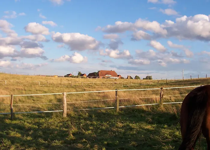 Pferdehof Ruhnau Appartamento Potzlow