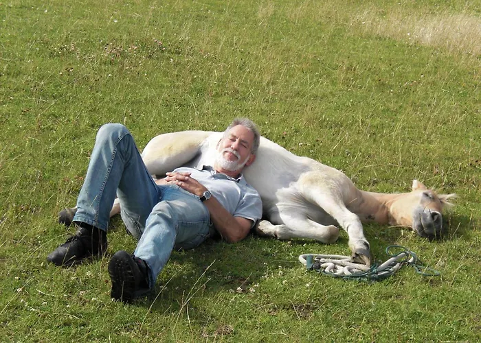 Pferdehof Ruhnau Apartman