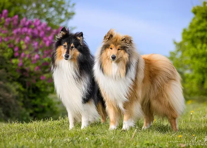 Appartamento Pferdehof Ruhnau *