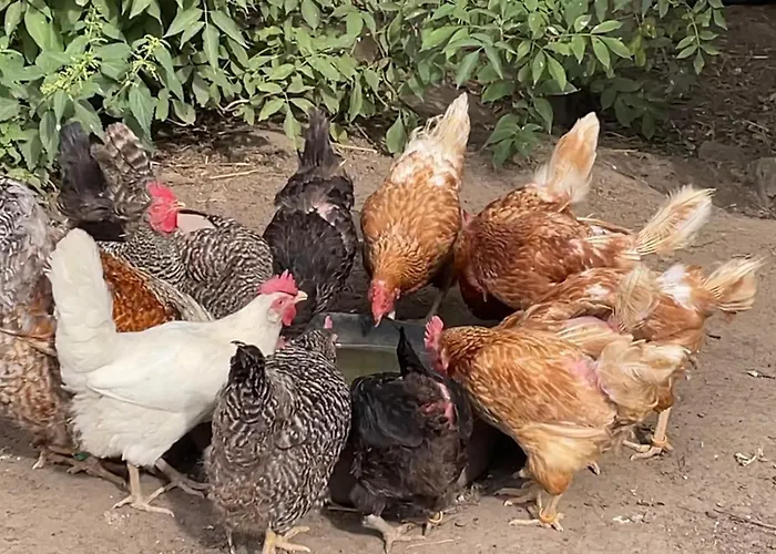 Apartman Pferdehof Ruhnau Potzlow