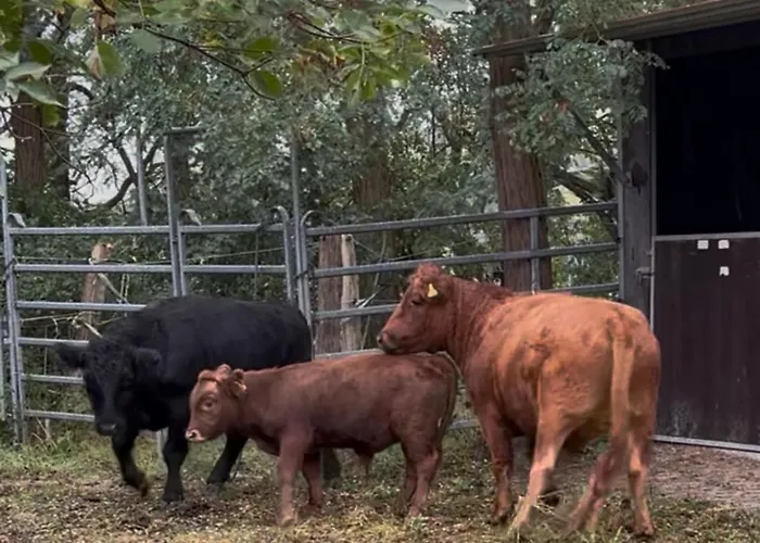 Appartamento Pferdehof Ruhnau *